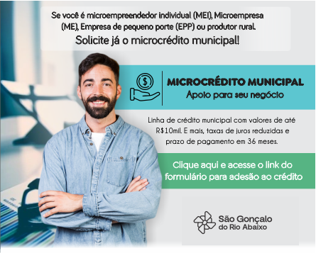 Microcrdito 2025